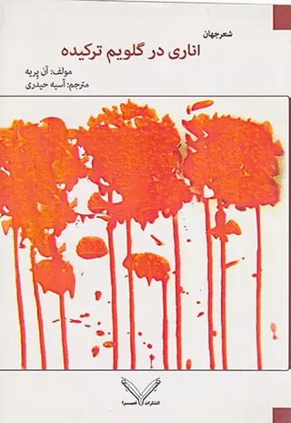 اناری در گلویم ترکیده